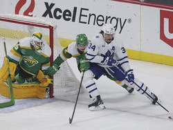 Maple Leafs Wild Hockey