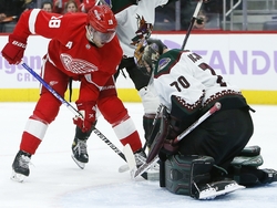 Coyotes Red Wings Hockey