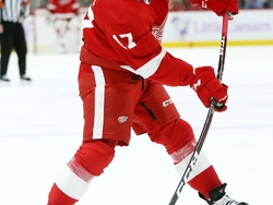 Coyotes Red Wings Hockey