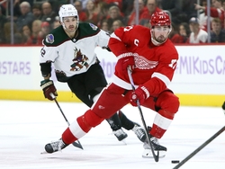 Coyotes Red Wings Hockey