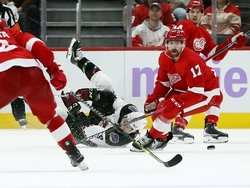 Coyotes Red Wings Hockey