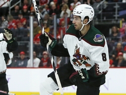 Coyotes Red Wings Hockey