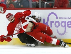 Coyotes Red Wings Hockey