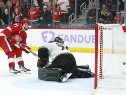 Coyotes Red Wings Hockey