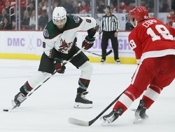 Coyotes Red Wings Hockey