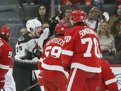 Coyotes Red Wings Hockey