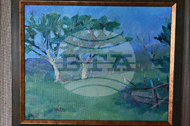 Берковица - „Берковска пролет“ - изложба