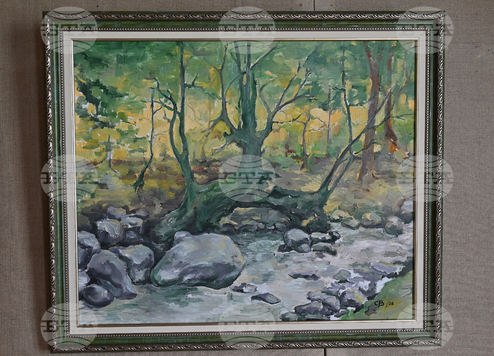 Берковица - „Берковска пролет“ - изложба