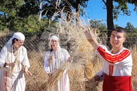 Момчилград - „Гърнатскине конаци“ - жътва