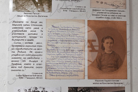 Берковица - „Величковият род“ - изложба