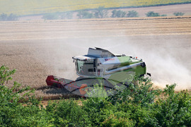 Село Голям Поровец - жътва