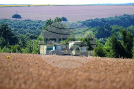 Село Голям Поровец - жътва