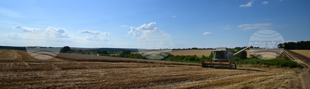 Село Голям Поровец - жътва