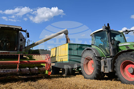 Село Голям Поровец - жътва