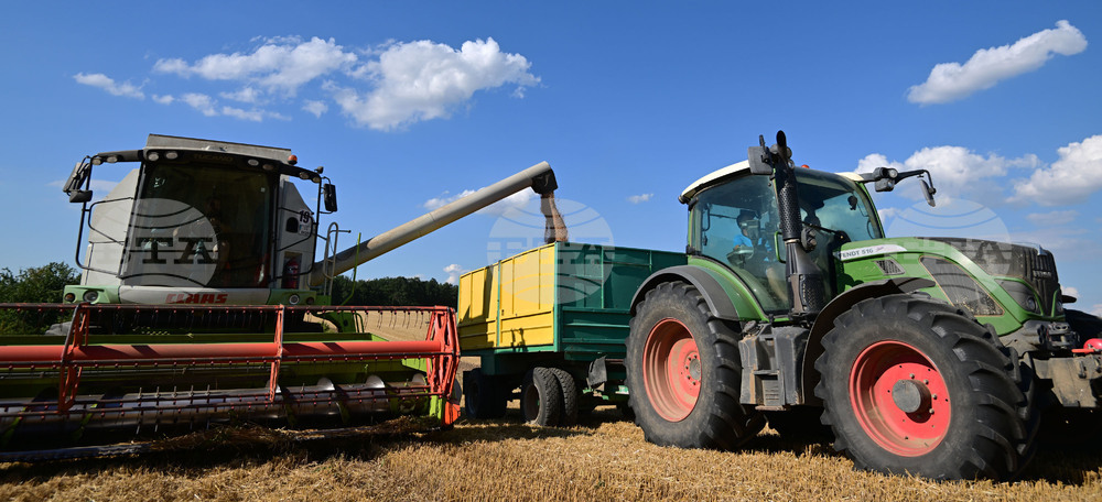Село Голям Поровец - жътва