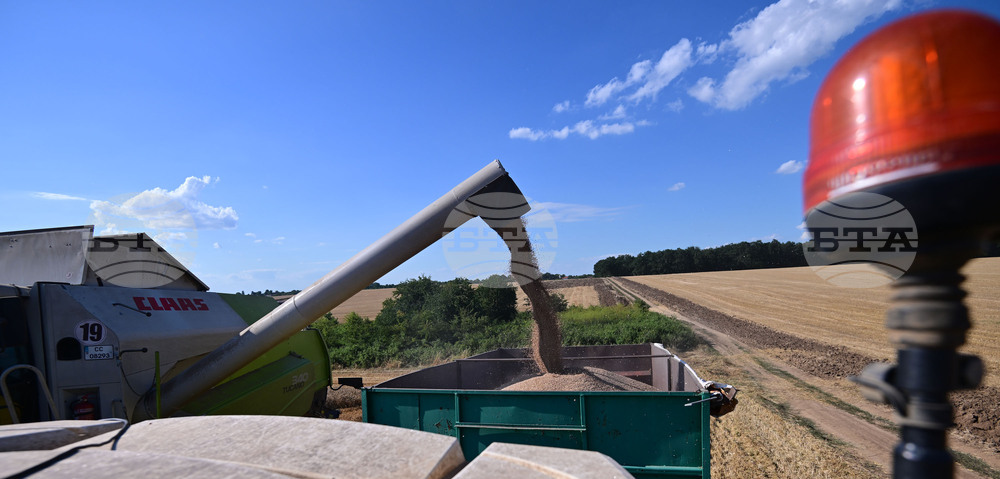 Село Голям Поровец - жътва