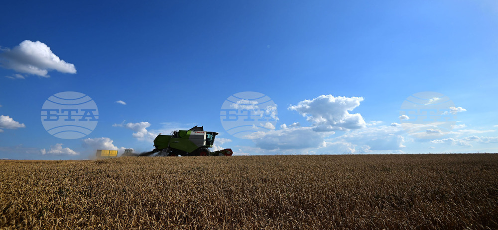 Село Голям Поровец - жътва