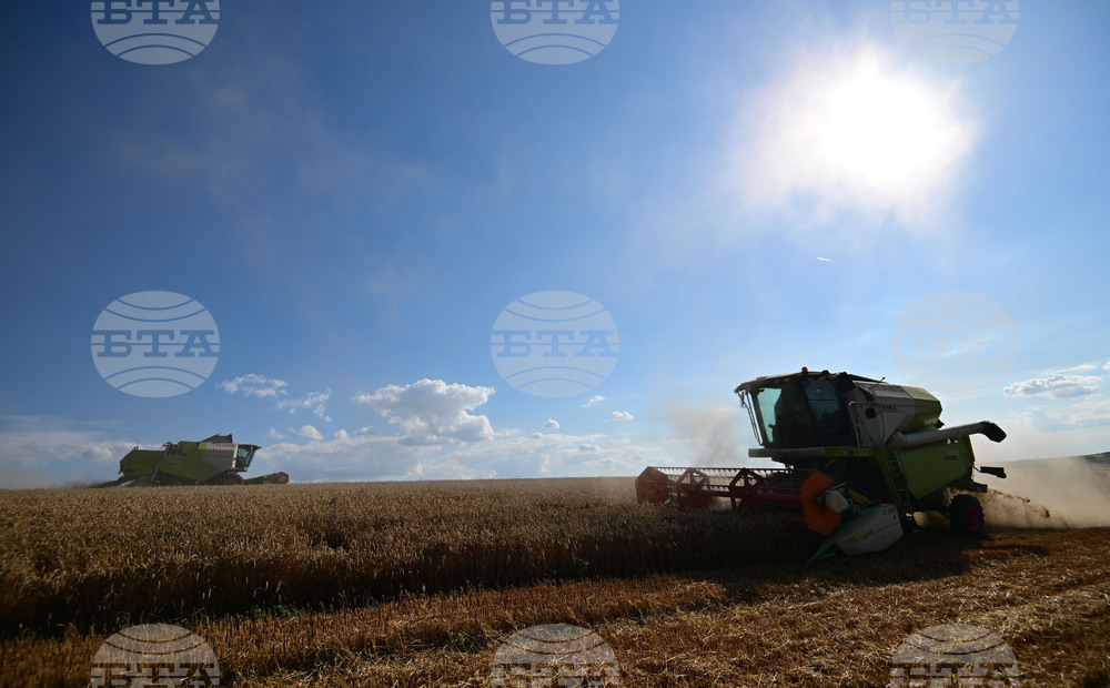 Село Голям Поровец - жътва