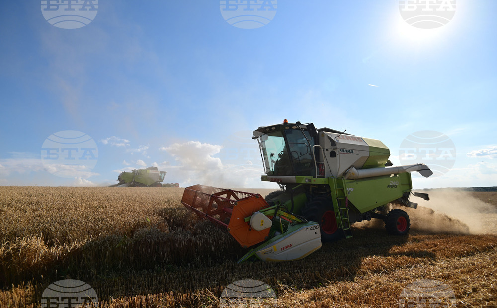 Село Голям Поровец - жътва