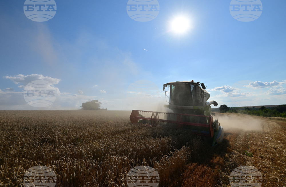 Село Голям Поровец - жътва