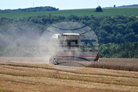 Село Голям Поровец - жътва