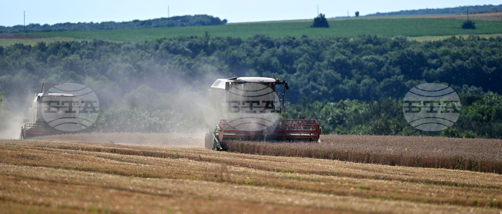 Село Голям Поровец - жътва