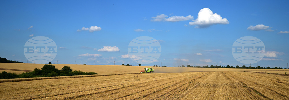 Село Голям Поровец - жътва
