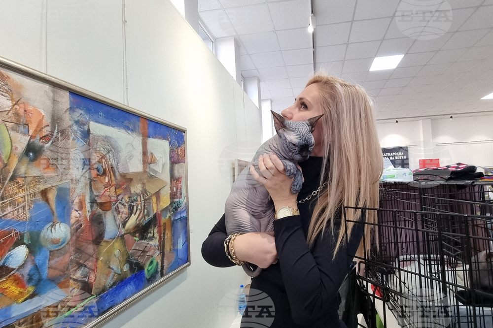 Благоевград - изложба - котки