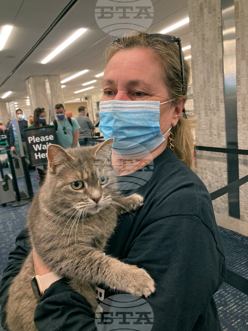 Ключът към лечението на рака може да се крие в котките, сочи мащабно международно проучване