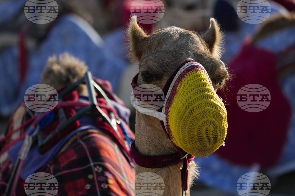 Туристите разглеждат Кападокия на гърба на камили вместо с обичайните балони с горещ въздух