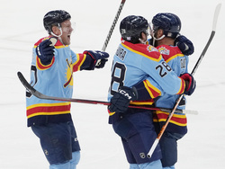Blues Panthers Hockey