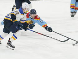 Blues Panthers Hockey