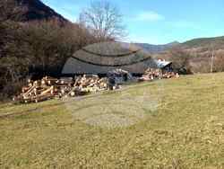 Снимка: Изпълнителна агенция по горите - Сезират Прокуратурата за незаконна сеч в частна гора в землището на село Огоя