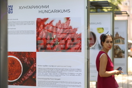 Изложба "Хунгарикуми" - откриване