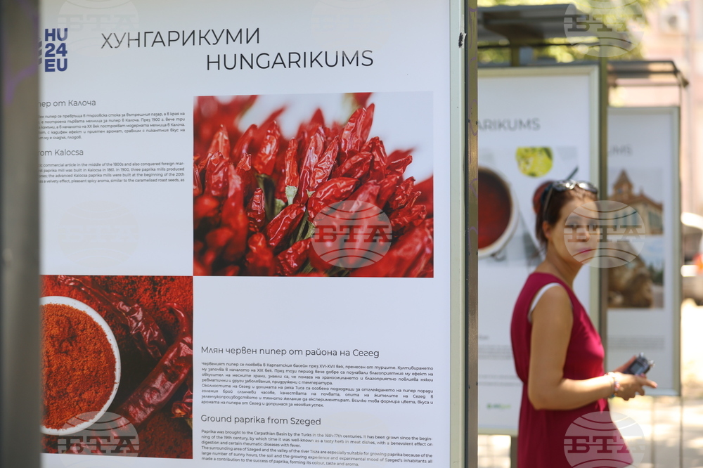 Изложба "Хунгарикуми" - откриване