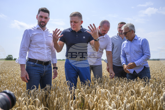 ТАСР: Братислава обвини Европейската комисия, че ще ликвидира словашкото земеделие