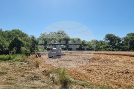 Село Крамолин - жътва - ритуал