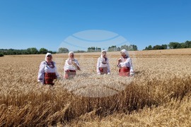 Село Крамолин - жътва - ритуал