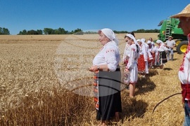 Село Крамолин - жътва - ритуал