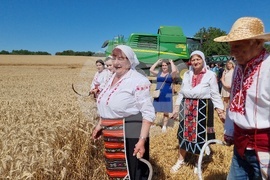 Село Крамолин - жътва - ритуал