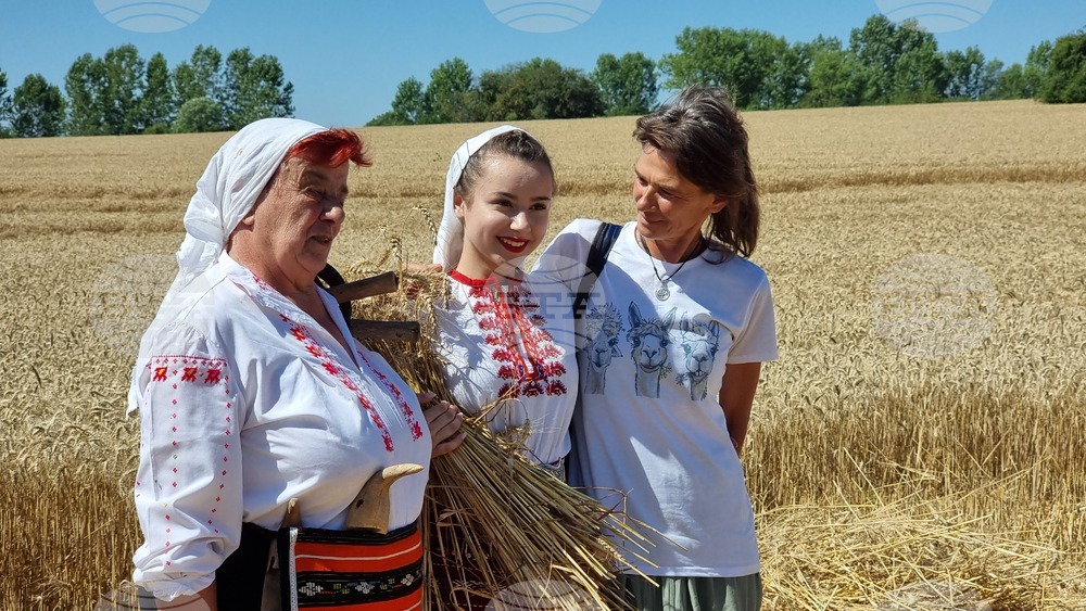 Село Крамолин - жътва - ритуал