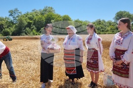 Село Крамолин - жътва - ритуал