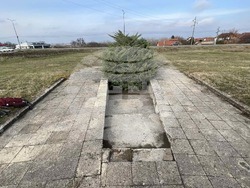 Снимка: Пресцентър Възраждане - Членове на „Възраждане - Люлин“ почистиха военното гробище в Ниш, Сърбия