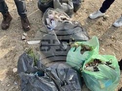 Снимка: Пресцентър Възраждане - Членове на „Възраждане - Люлин“ почистиха военното гробище в Ниш, Сърбия