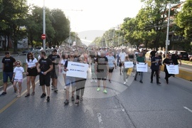 Булевард Сливница - протест срещу войната по пътищата