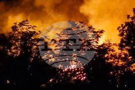 Кърджали - пожар - сграда