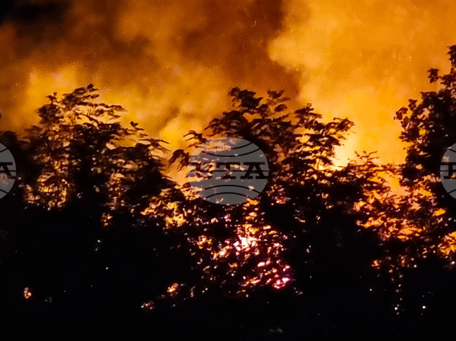 Пожар се е разразил тази сутрин в шест малки магазина на Зеления пазар в Прищина