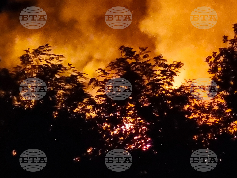 Кърджали - пожар - сграда