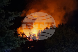 Кърджали - пожар - сграда