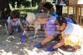 Кърджали - „Лято в музея" - инициатива